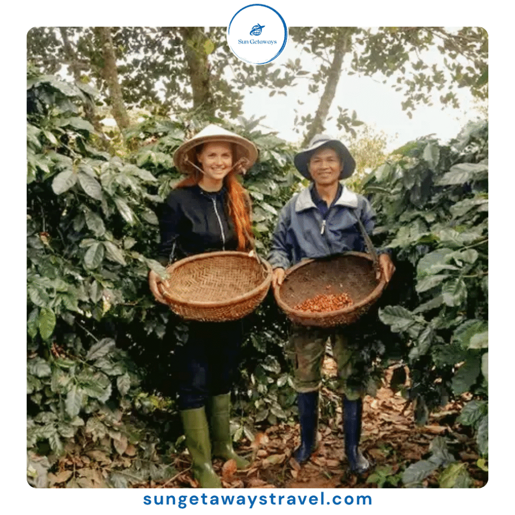 coffee farm tours in Vietnam