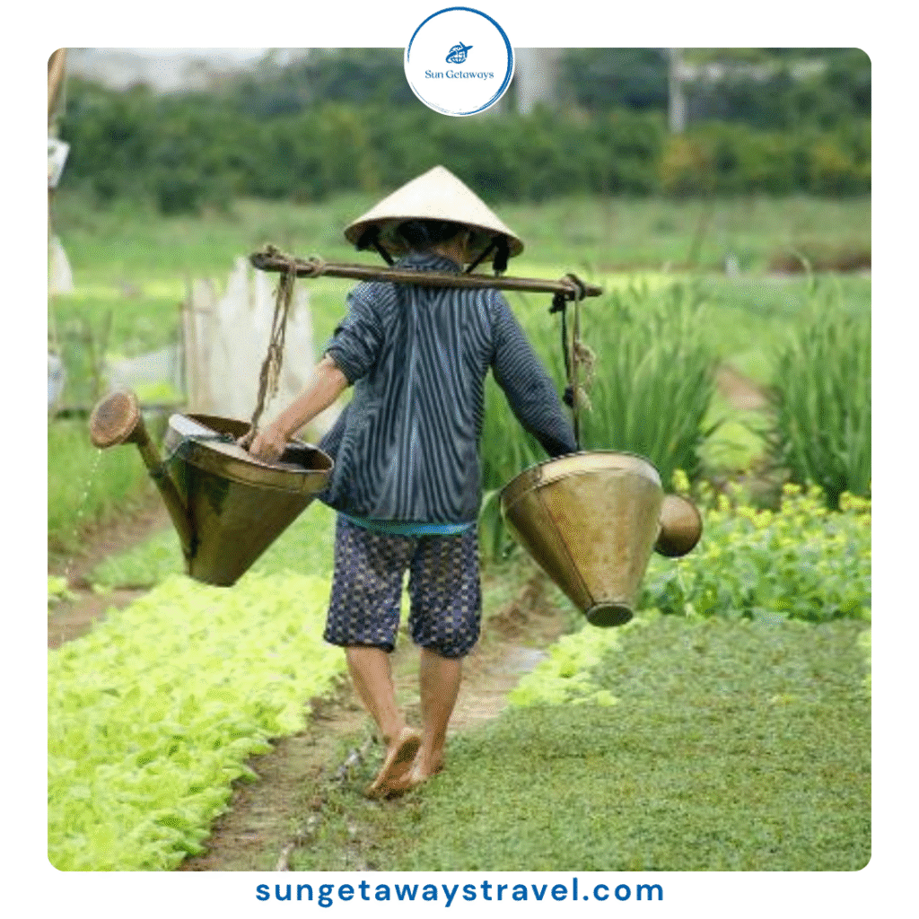 The 10 Best Farm-to-Table Experiences in Vietnam for Foodies (2026)