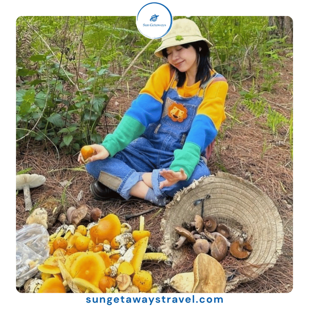 farming activities for tourists in Vietnam