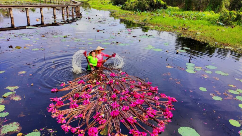 explore mekong delta