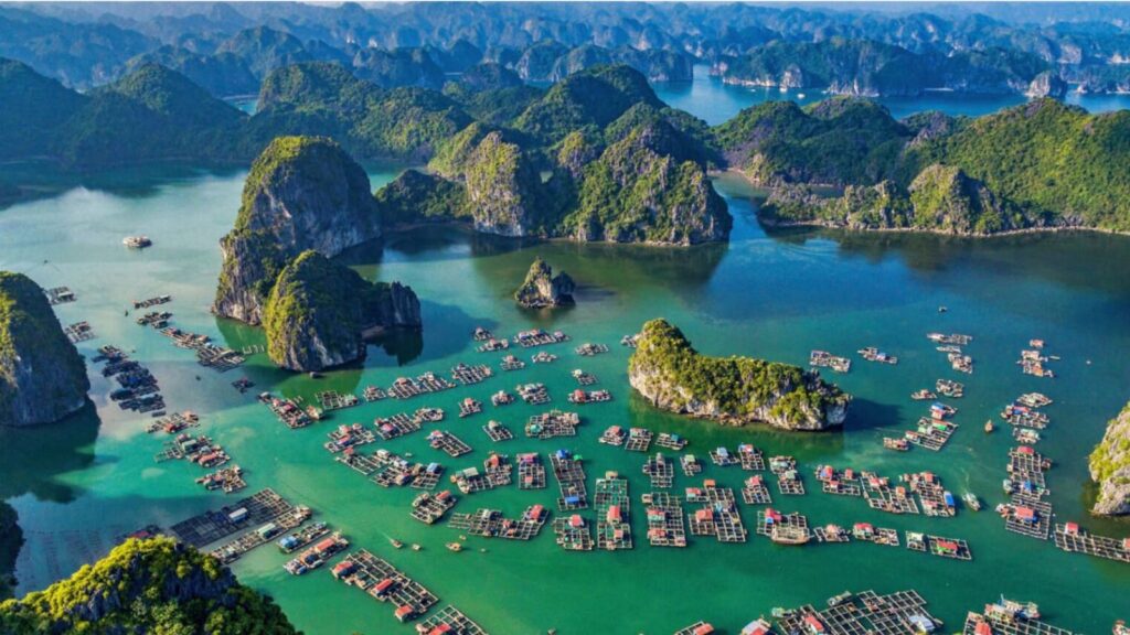 halong bay fishing village
