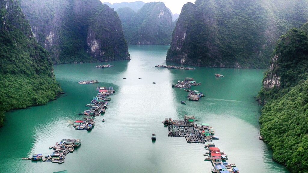 explore the halong bay floating village