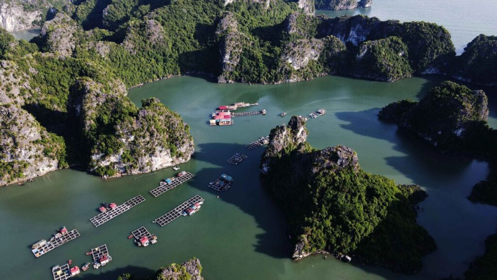 experience the halong bay floating village