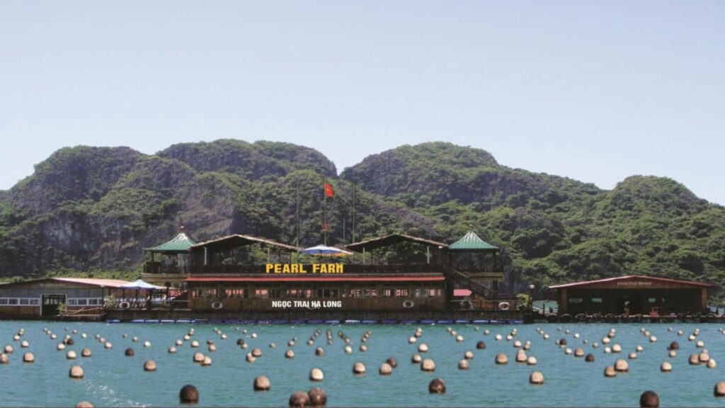 pearl farm workshop vietnam