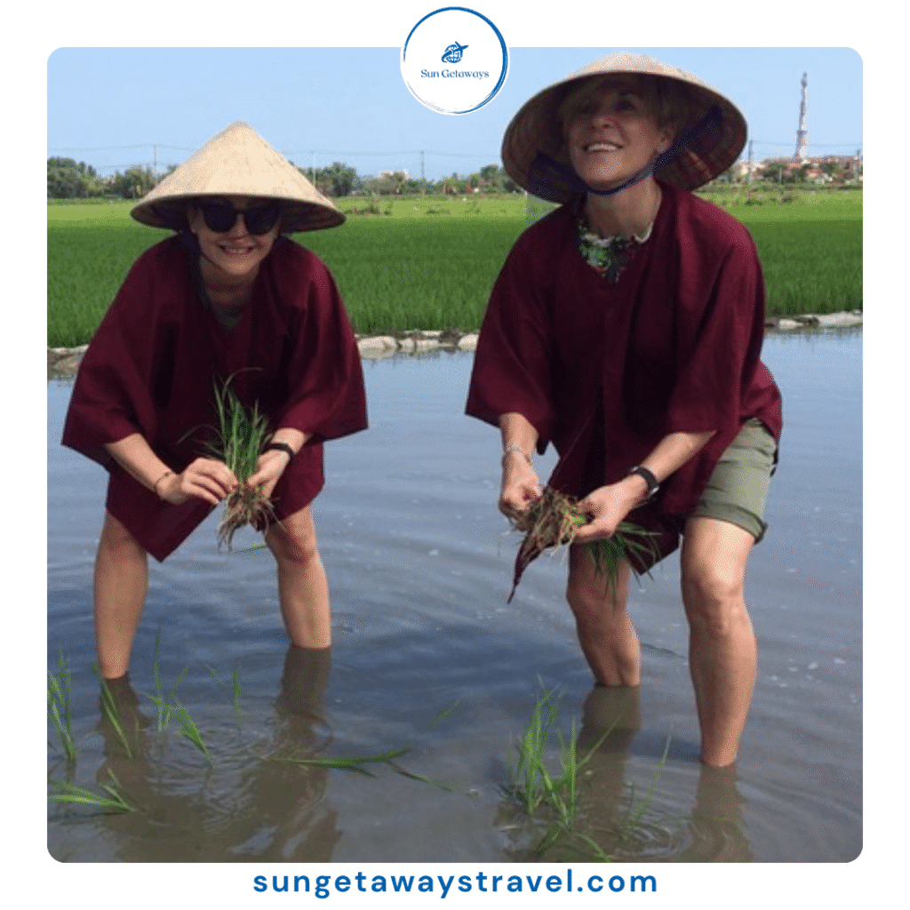 The Ultimate Guide to an Authentic Rice Farming Experience in Vietnam