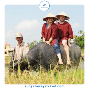 The Ultimate Guide to an Authentic Rice Farming Experience in Vietnam