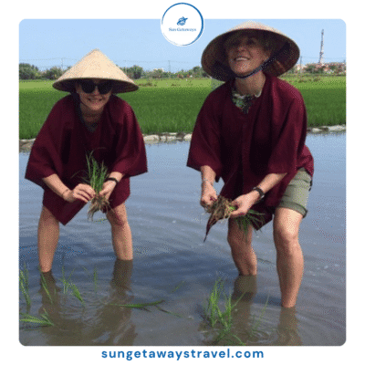 Proverbs Rice Farming The Ultimate Guide to an Authentic Rice Farming Experience in Vietnam ...