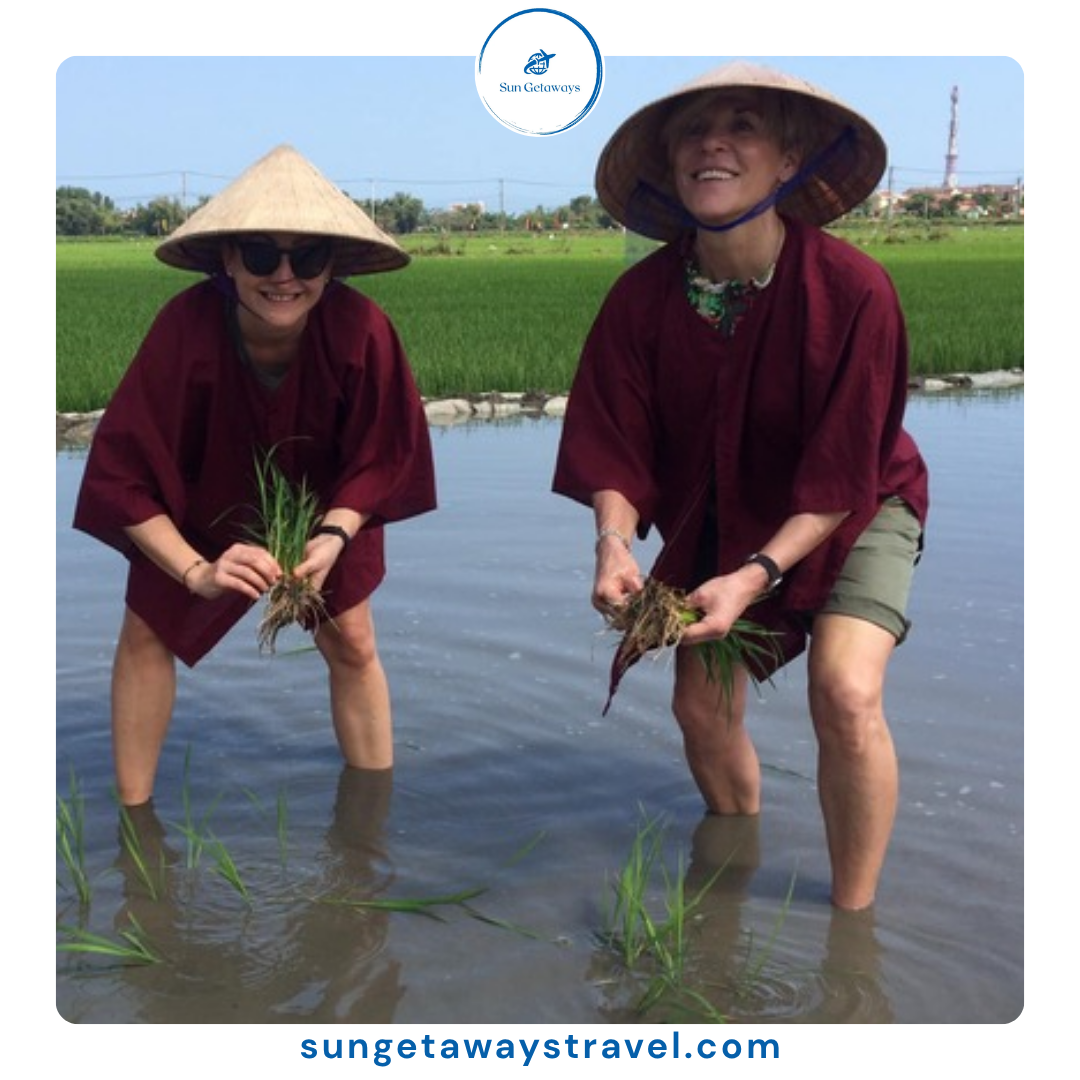 The Ultimate Guide to an Authentic Rice Farming Experience in Vietnam ...