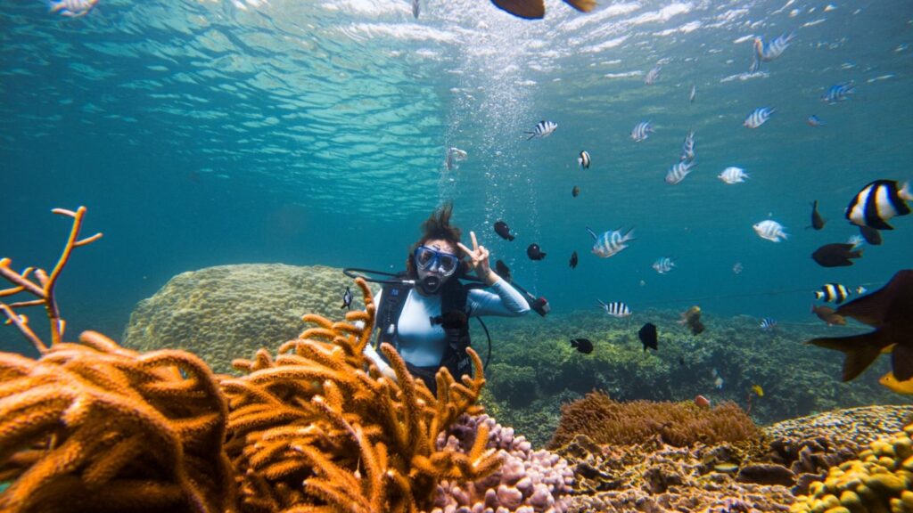 tour operator for traveling