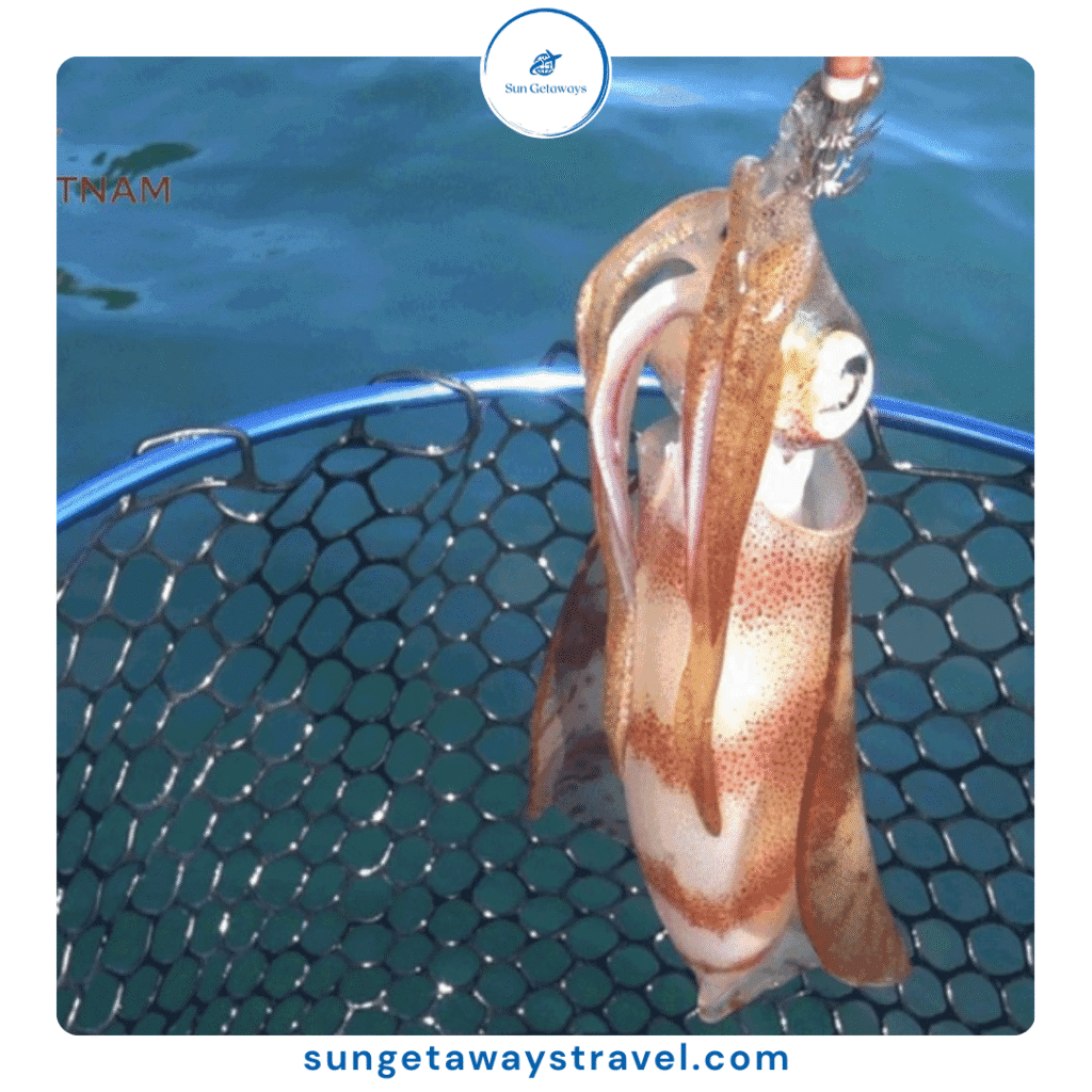 squid fishing in Ha Long Bay