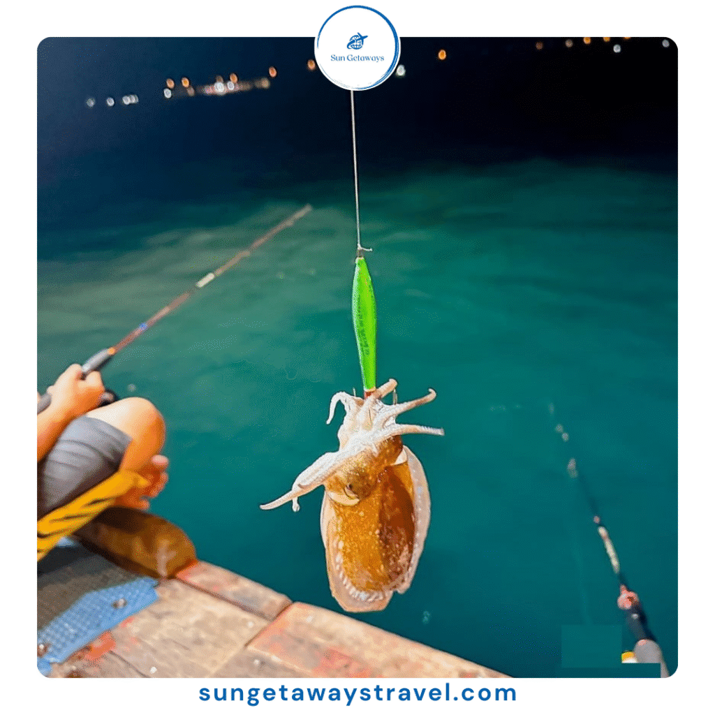squid fishing in Ha Long Bay