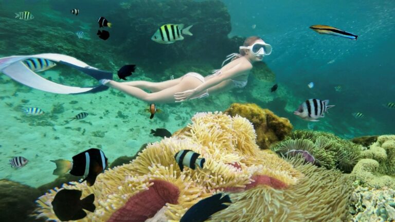 snorkeling for beginners in Vietnam