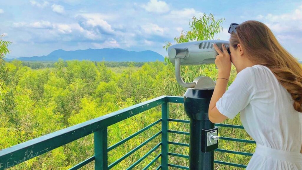 activities at Tra Su cajuput forest