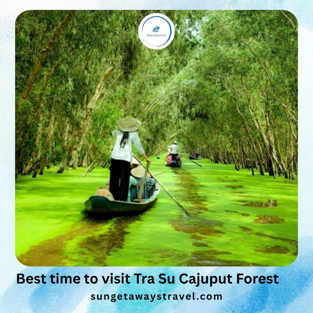 Best time to visit Tra Su Cajuput Forest
