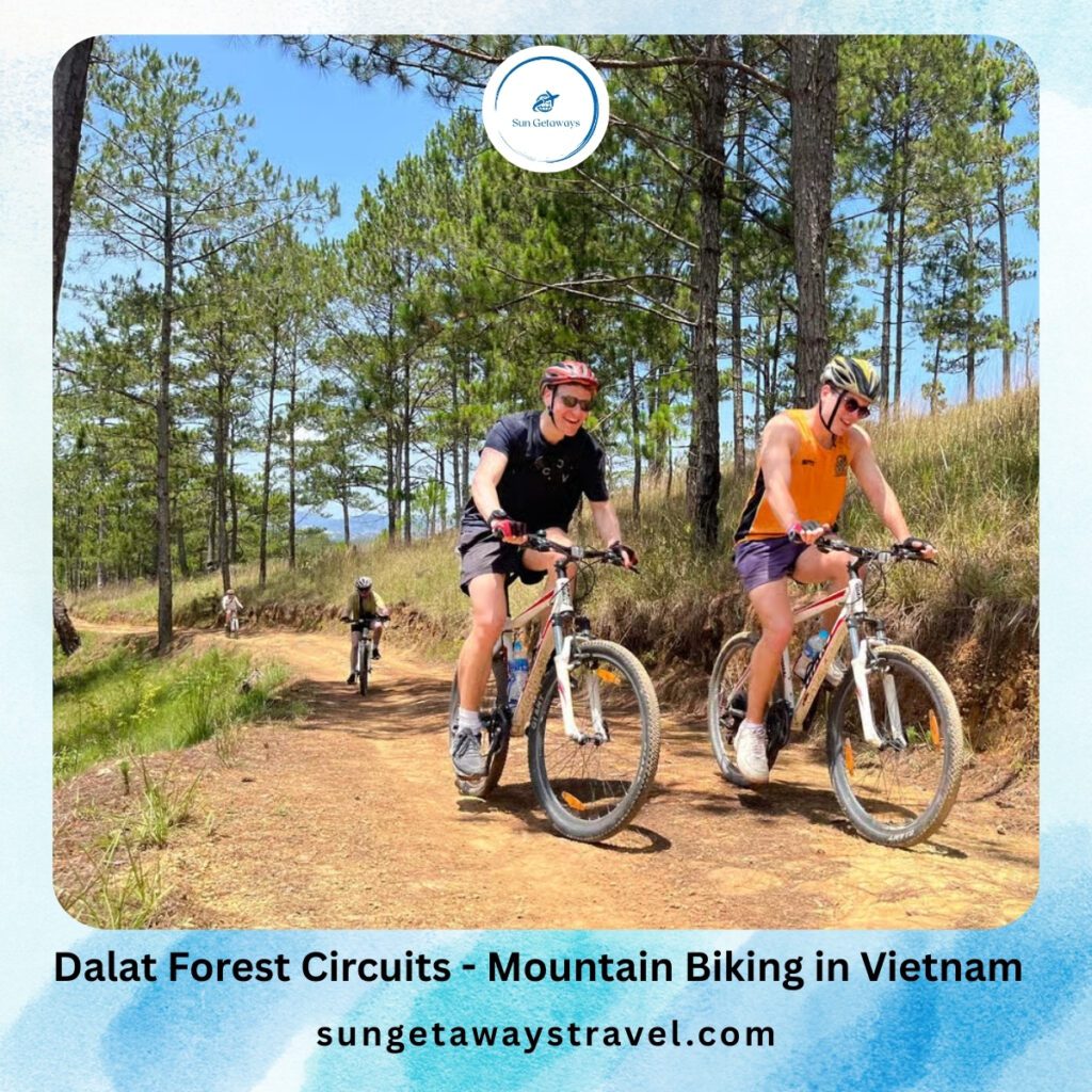 Dalat Forest Circuits - Mountain Biking in Vietnam
