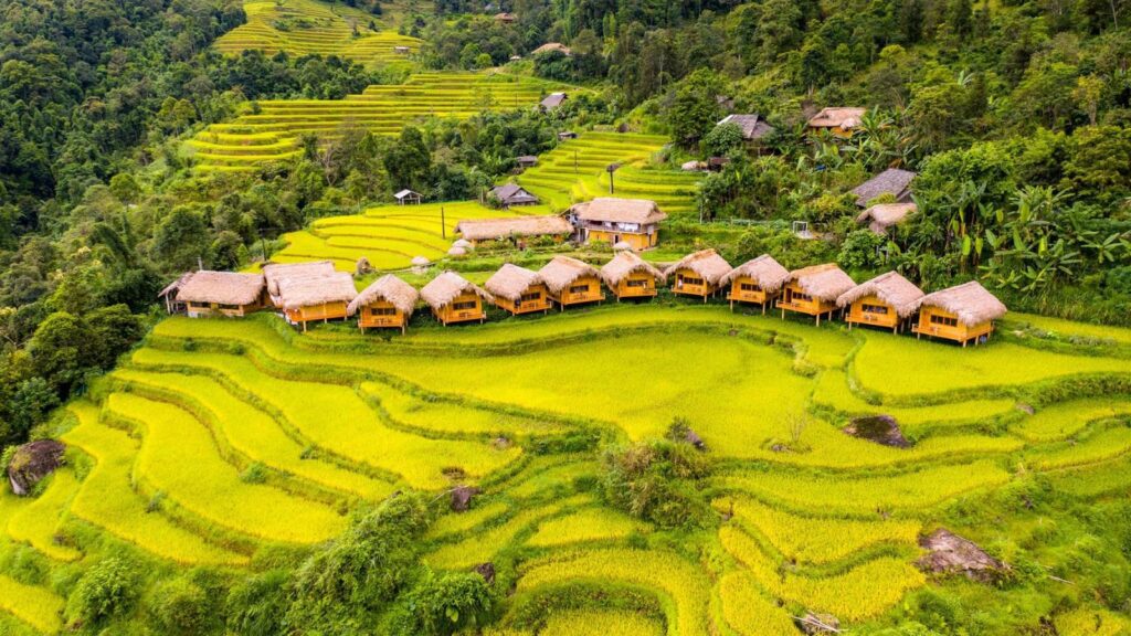 Hoang Su Phi Nature Reserve in Vietnam
