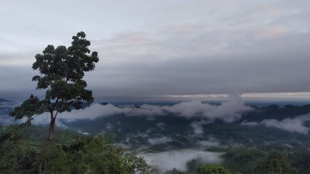 Phong Dien Nature Reserve in Vietnam