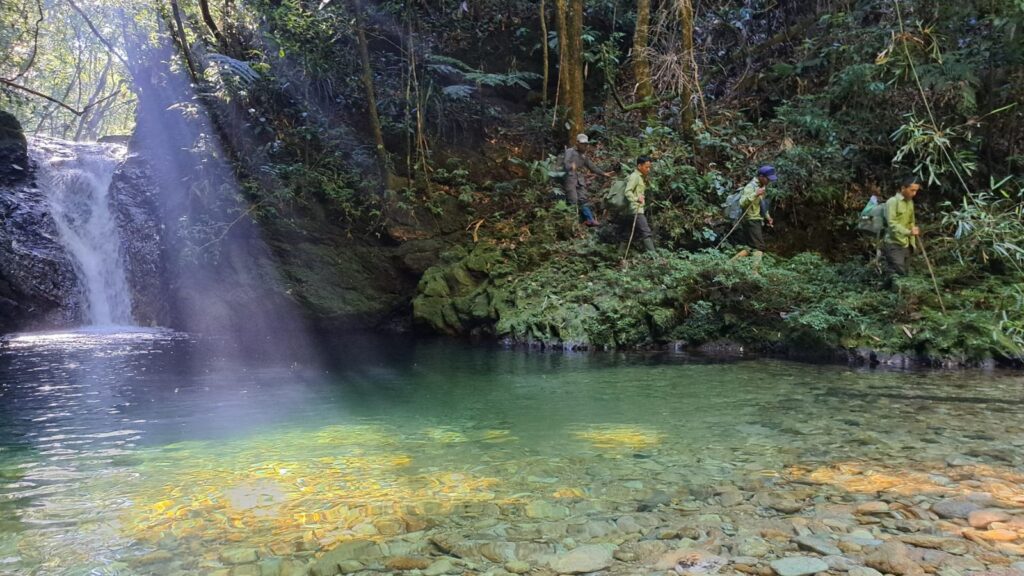 Phong Dien biodiversity