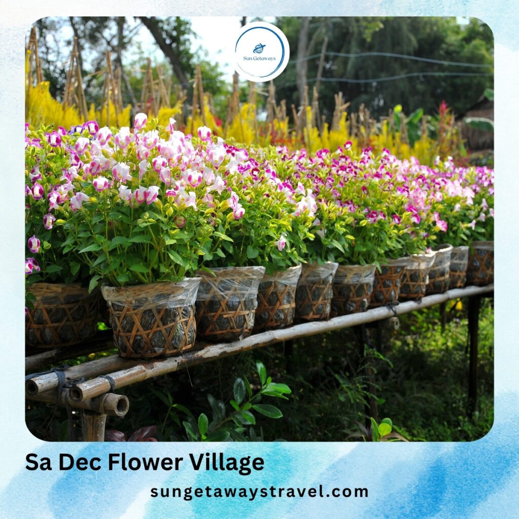 Sa Dec Flower Village