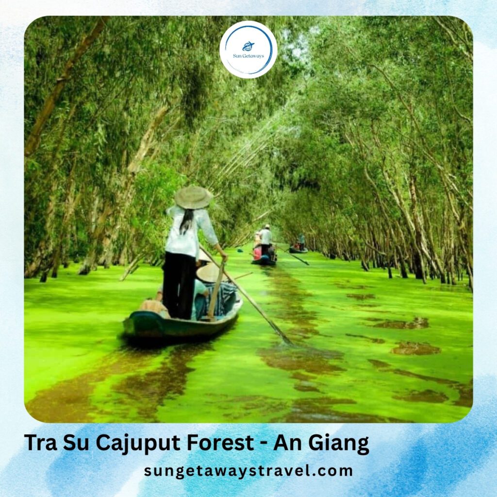 Tra Su Cajuput Forest