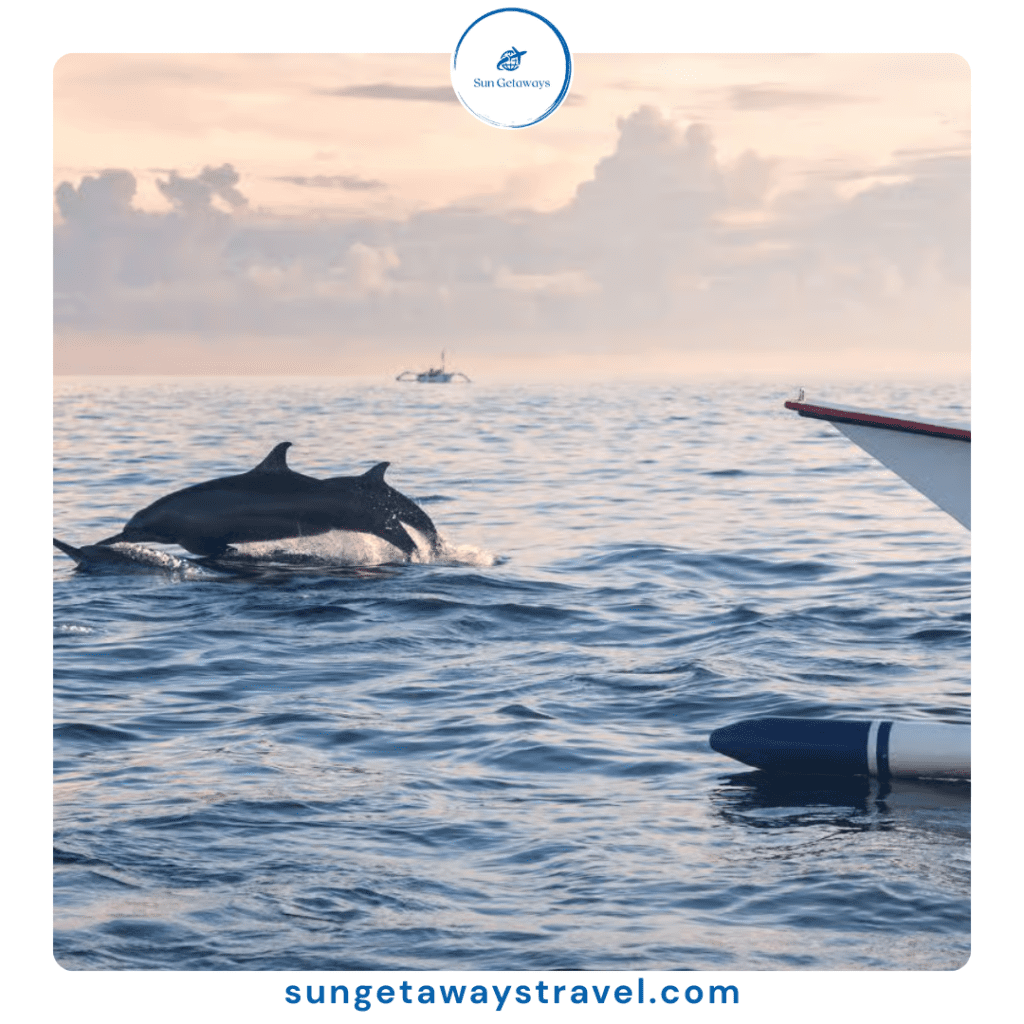 Vietnam-Dolphin-Tour