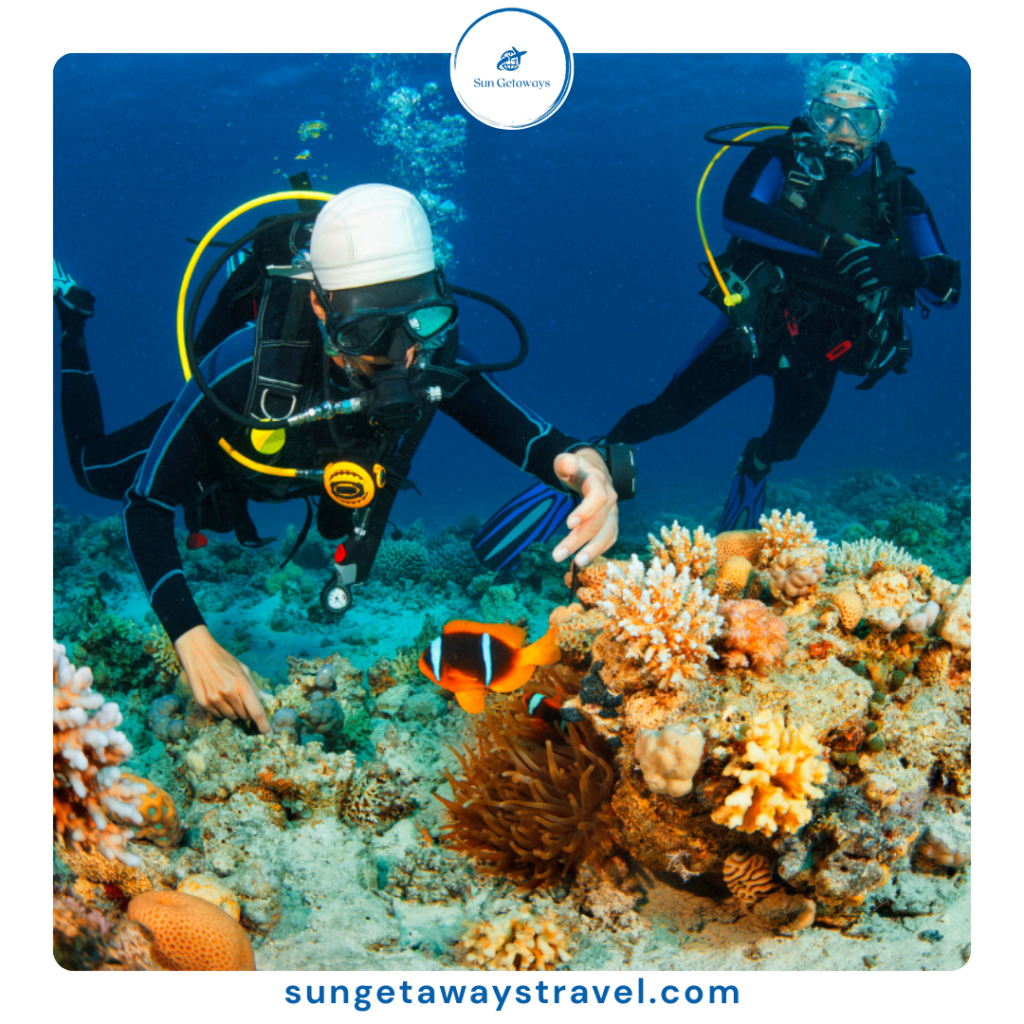 Vietnam marine wildlife 