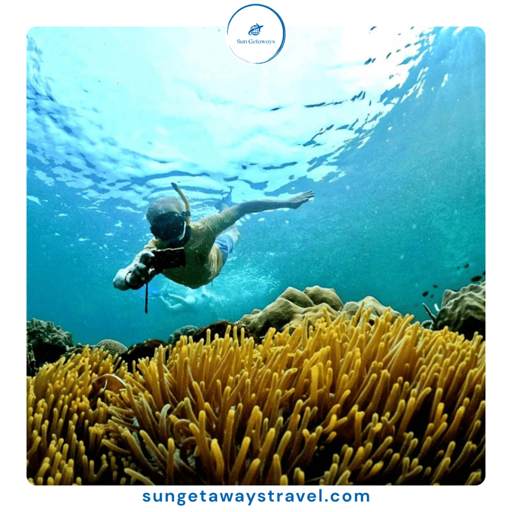 Vietnam marine wildlife