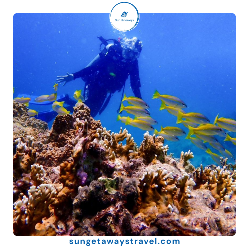 Vietnam marine wildlife