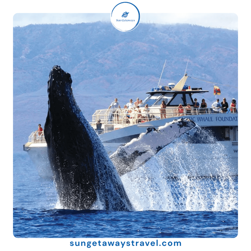 tour- De Gi - Quy Nhon