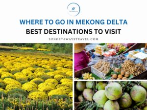 Where to Go in Mekong Delta Best Destinations to Visit