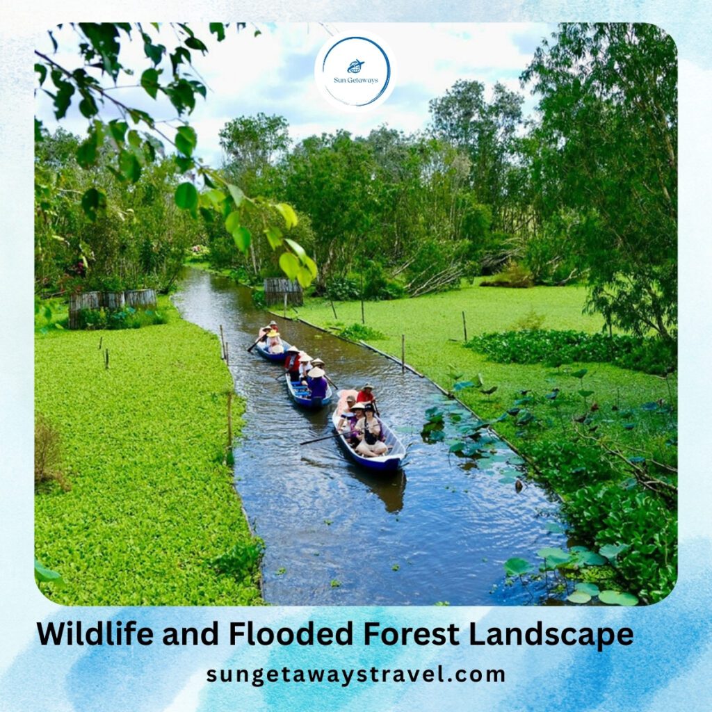 Wildlife and Flooded Forest Landscape