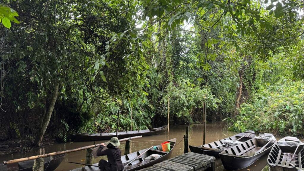 Xeo Quyt Relic Site mekong delta
