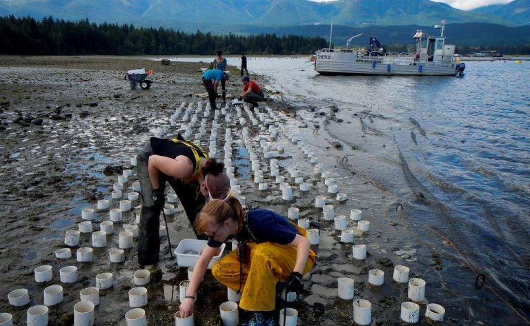 bai tu long fishing villages