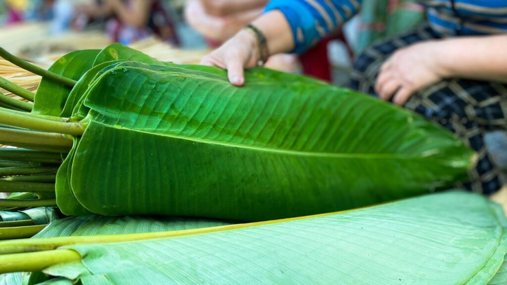 vietnamese dong leaves