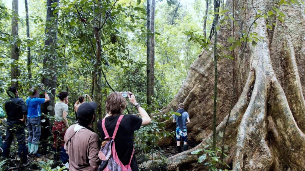 Cat Tien wildlife tour