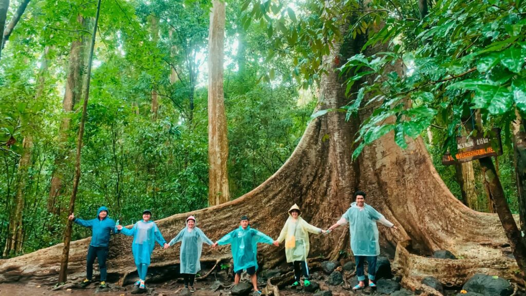 nature tourism in vietnam