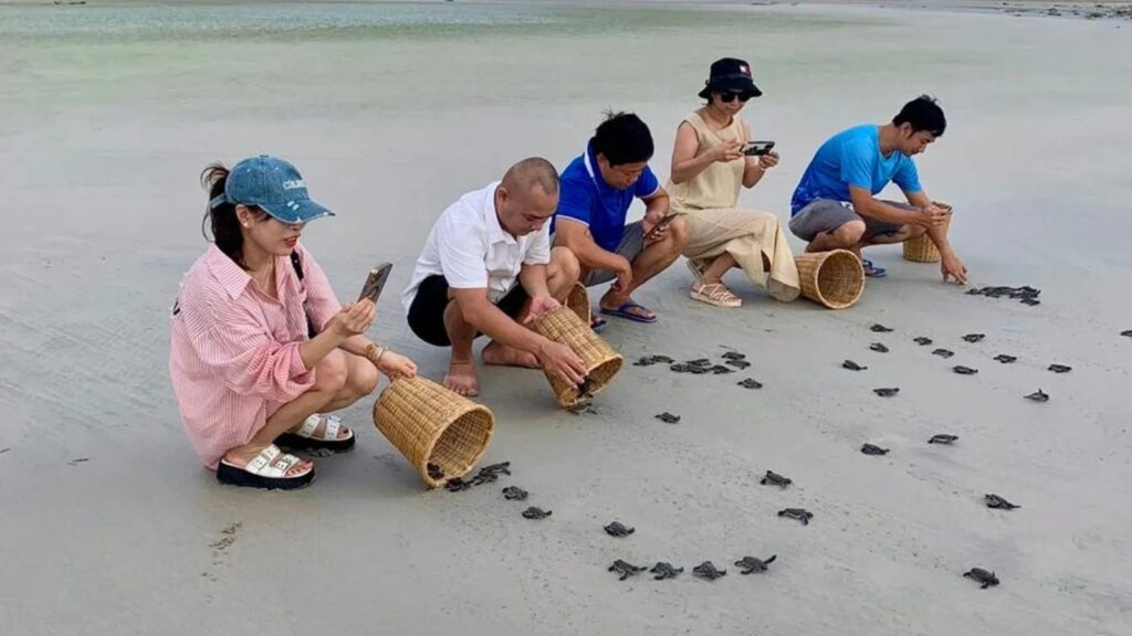 vietnam travel beaches