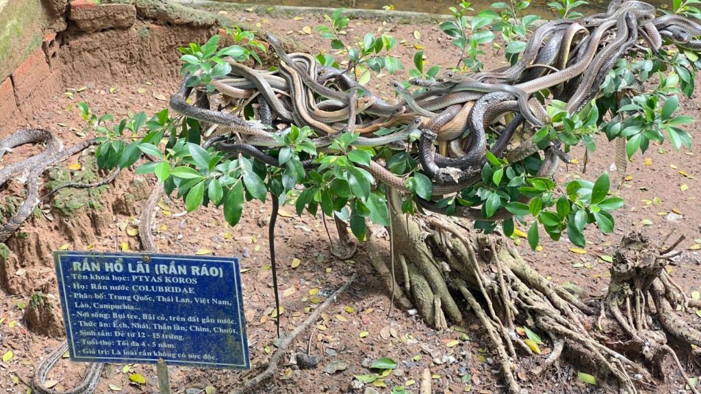 Dong Tam Snake Farm Vietnam tour