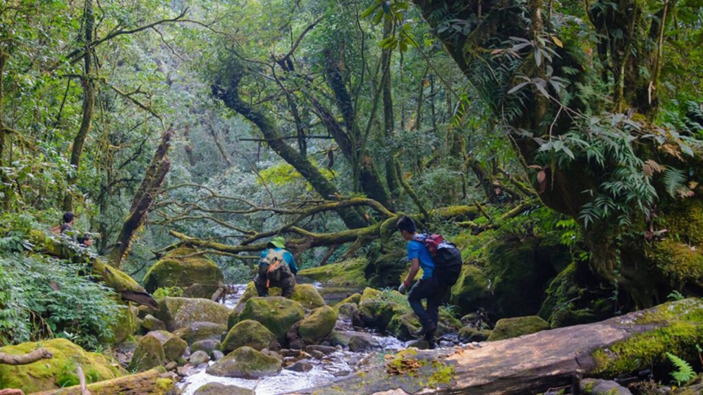 Hoang Lien trekking routes