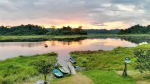 cat tien national park