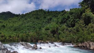 Phong Dien nature reserve