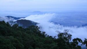 Tam Dao National Park