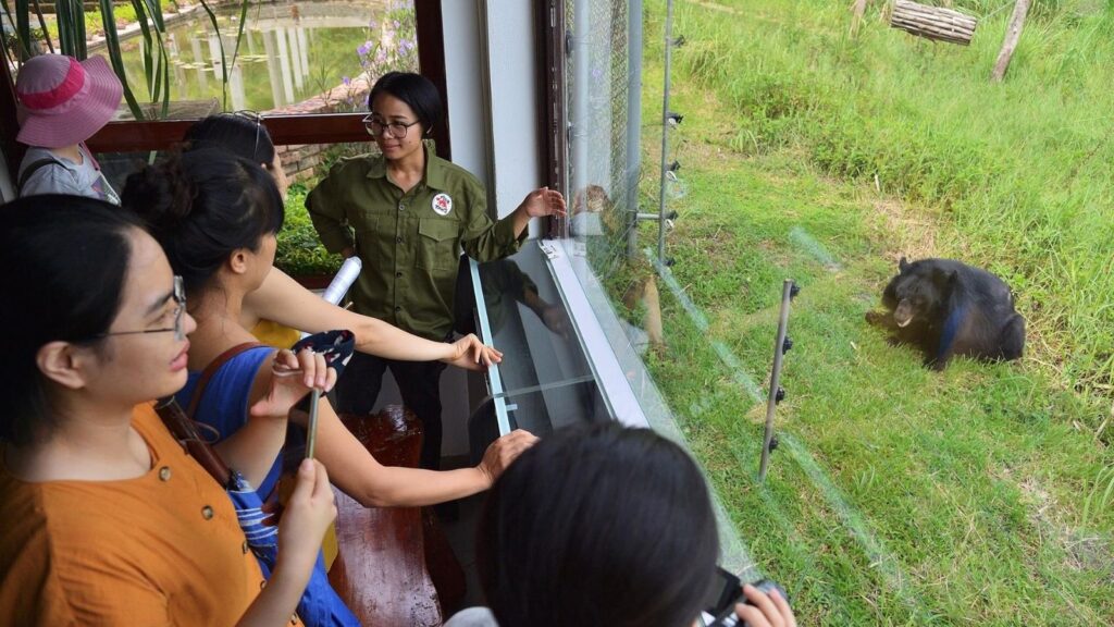 rule and tips for visiting Vietnamese wildlife center