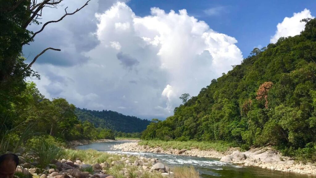 visit vu quang national park