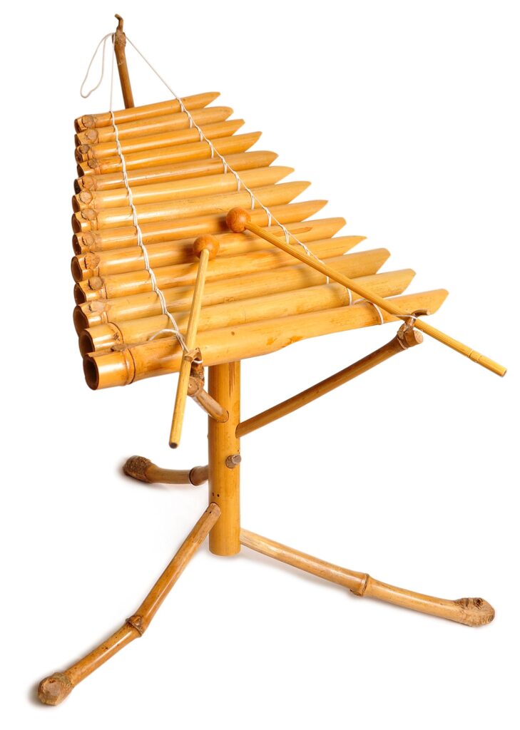 Materials Used in Traditional Instrument Making in Vietnam