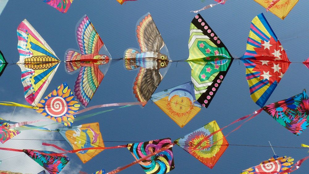 Introduction to Traditional Vietnamese Kite Art