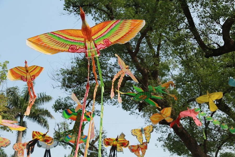 Common Themes and Forms in Traditional Vietnamese Kite Art