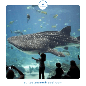 aquariums in Vietnam, marine life attractions in vietnam