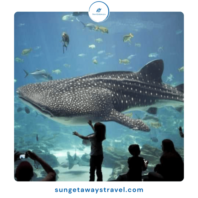 aquariums in Vietnam, marine life attractions in vietnam