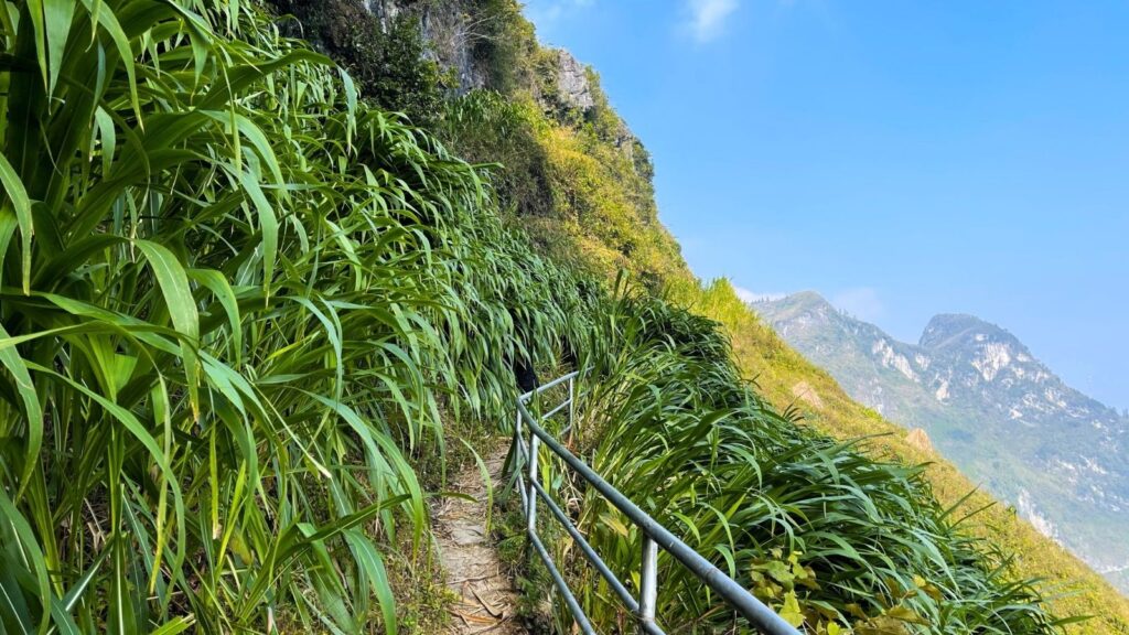 northern vietnam trekking viewpoints